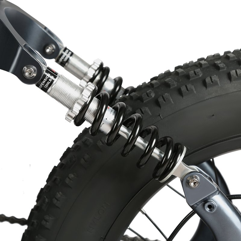 14 16 20 24 26 inch Fat Tire EU US Europe Poland Warehouse 48V Vintage Retro Sample Road Dirt Mountain City Dirt Electric Bike