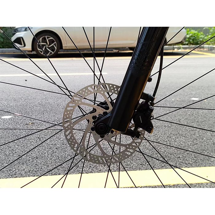 Cycletrack SCALE 29 Inch MTB EDS Carbon Fiber Mountain Bike Carbon Bicycle with SUMC Chain