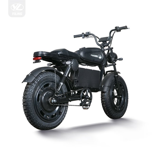 Factory Direct Sale 14 Inch Electric Cargo Scooter Riding Vehicles 48V 350W Motor 20ah Battery Electric Assisted Bike