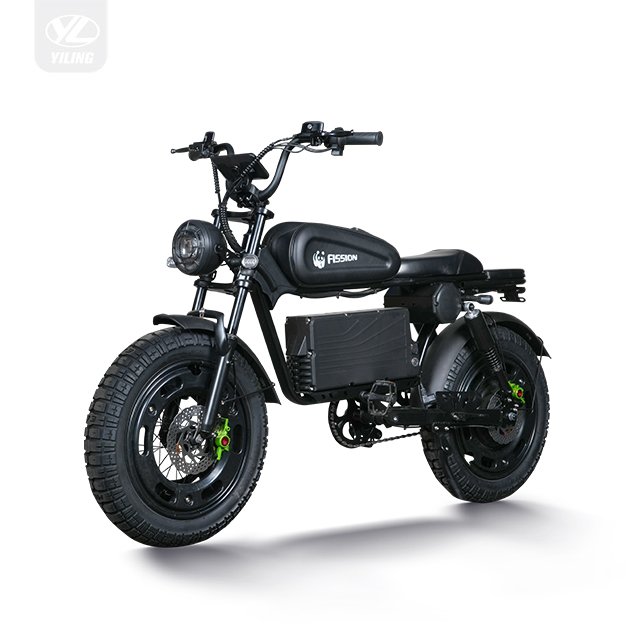 Factory Direct Sale 14 Inch Electric Cargo Scooter Riding Vehicles 48V 350W Motor 20ah Battery Electric Assisted Bike