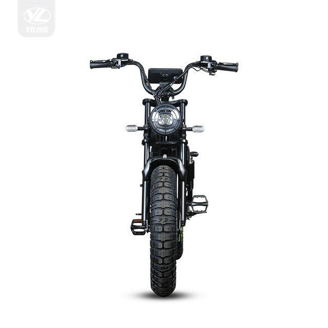 Factory Direct Sale 14 Inch Electric Cargo Scooter Riding Vehicles 48V 350W Motor 20ah Battery Electric Assisted Bike
