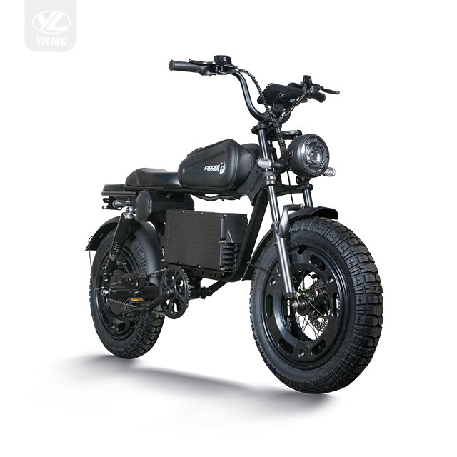 Factory Direct Sale 14 Inch Electric Cargo Scooter Riding Vehicles 48V 350W Motor 20ah Battery Electric Assisted Bike
