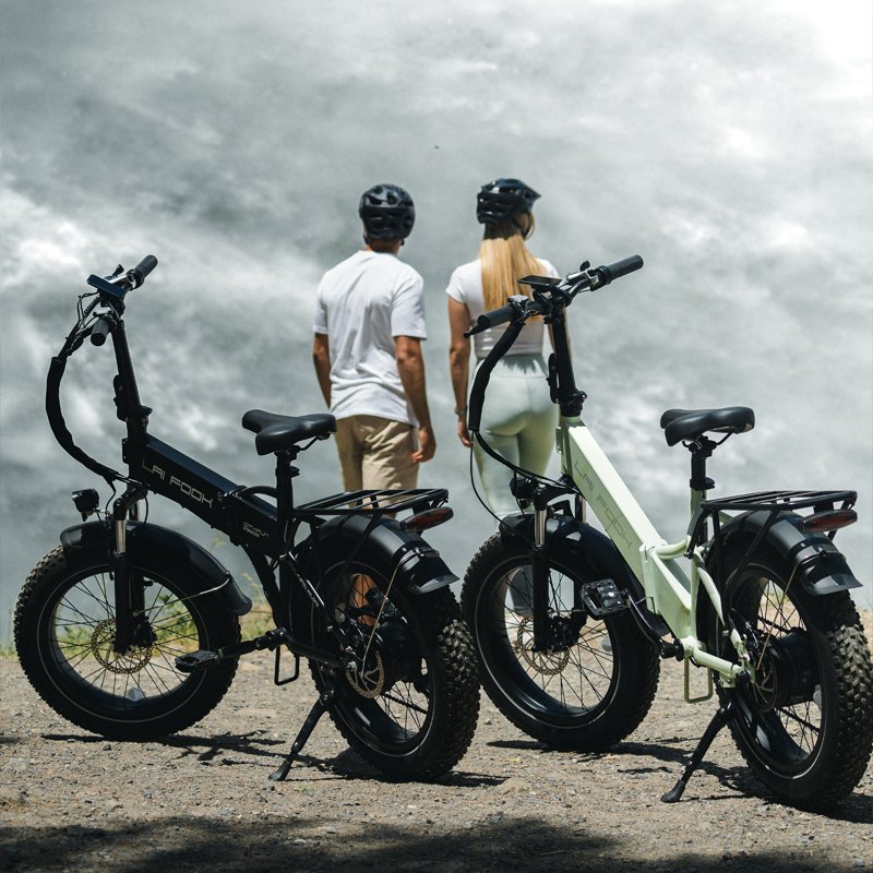 750W 48V real disc brake electric mountain bike mid drive long range fat tyre electric mountain bike for men