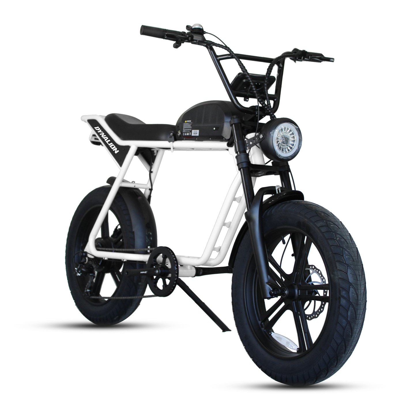 Electric Mountain Bike High Performance Electric Bicycle 48V 1000W 10Ah Durable Electric Dirt Bike Electric Fat Tire Bike