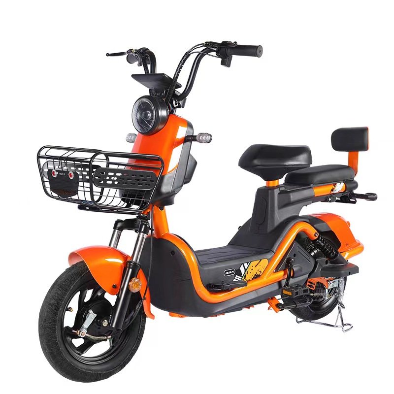 Best price electric bike assesories low rider electric bike duel battery e bike