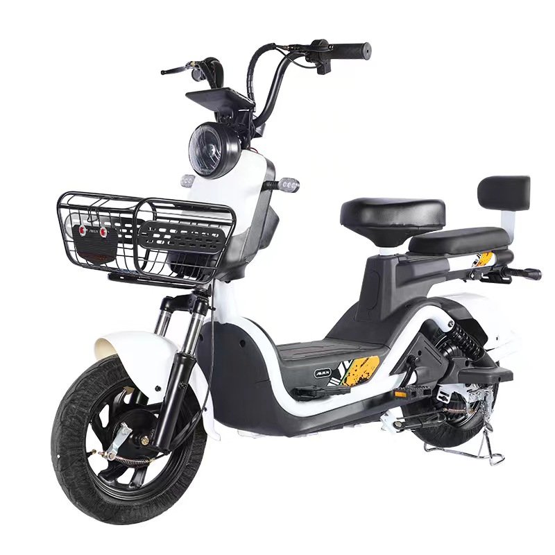 Best price electric bike assesories low rider electric bike duel battery e bike