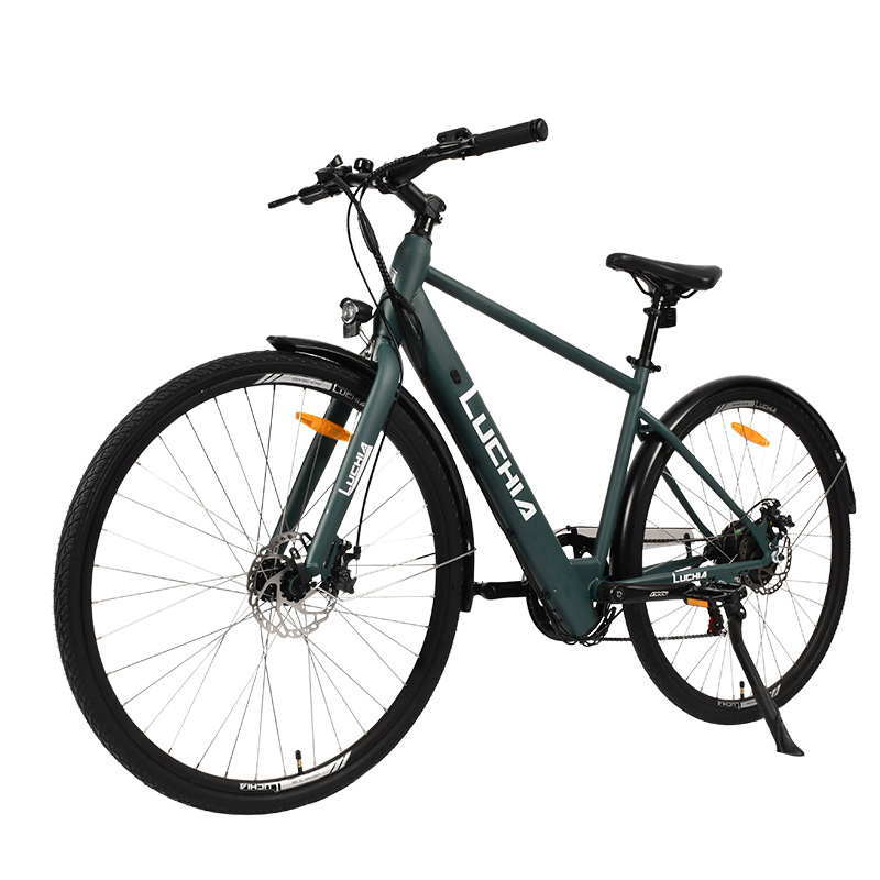 Factory Cheap Price Electro Bike Electric City Bike on Sale