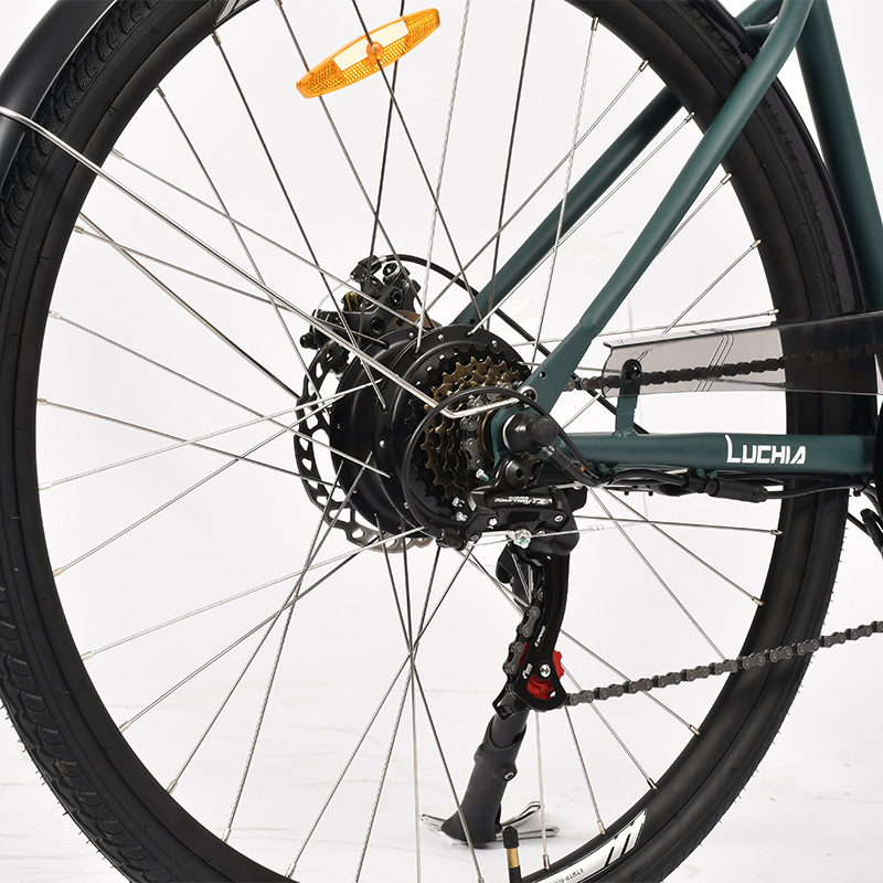 Factory Cheap Price Electro Bike Electric City Bike on Sale