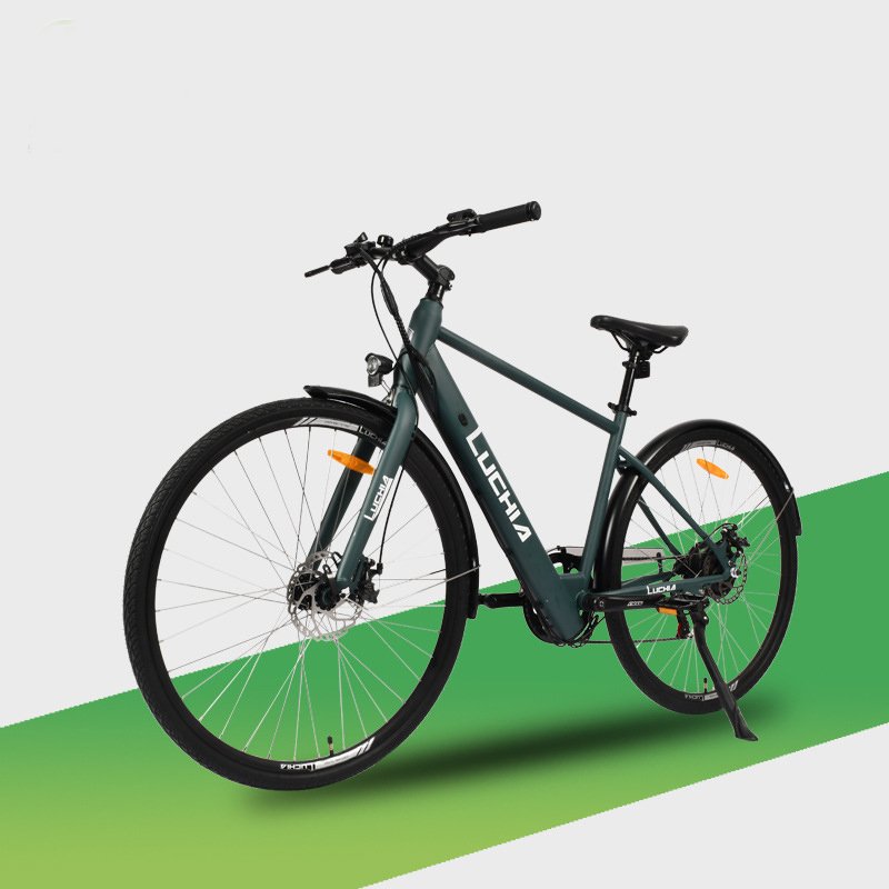 Factory Cheap Price Electro Bike Electric City Bike on Sale