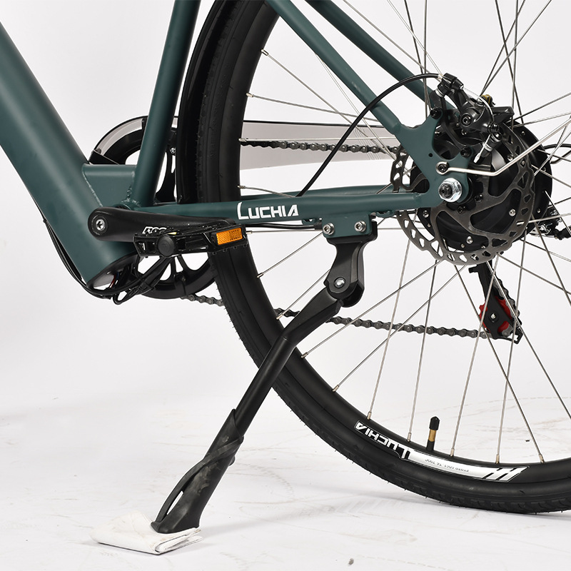 Factory Cheap Price Electro Bike Electric City Bike on Sale