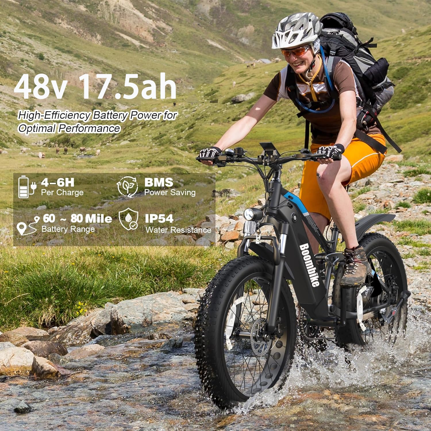 500W,750W,1000W 13Ah,17.5Ah Battery Hub Motor 26 inch Wheel Size Fat Tire Electric Mountain Bike