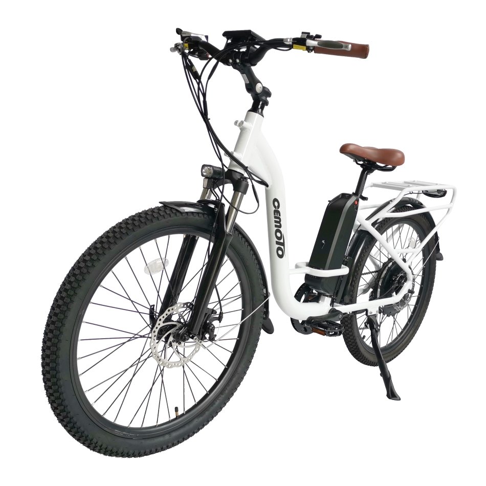 E-bike Aluminum Alloy Frame Electric Bicycle 7 Speed 750W Brushless Motor 26*1.95 Inch Cargo City Electric Bicycle for Adults