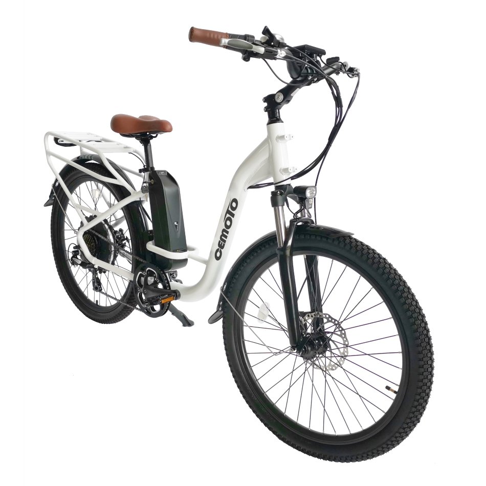 E-bike Aluminum Alloy Frame Electric Bicycle 7 Speed 750W Brushless Motor 26*1.95 Inch Cargo City Electric Bicycle for Adults