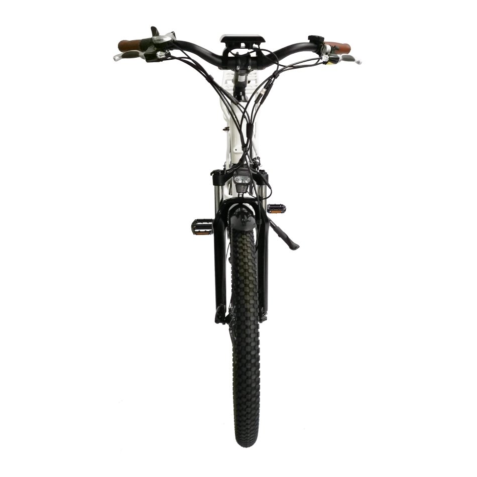 E-bike Aluminum Alloy Frame Electric Bicycle 7 Speed 750W Brushless Motor 26*1.95 Inch Cargo City Electric Bicycle for Adults