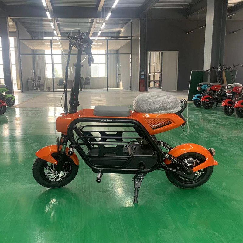 New Pedal Electric Vehicle 48V High-Speed Electric Scooter Rides Lithium Power Pet ebike Foldable Electric Bicycle