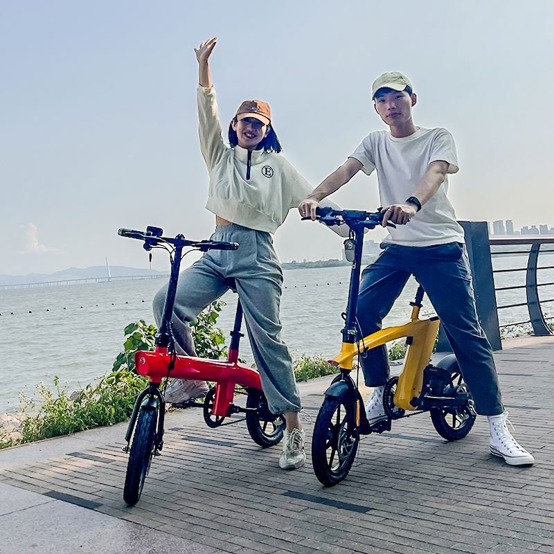 Original Factory Kixin H2 36v 250w E-bike Mountain Folding Electric Bicycle Bike E Bicycle Ebike E Bike With Lithium Battery