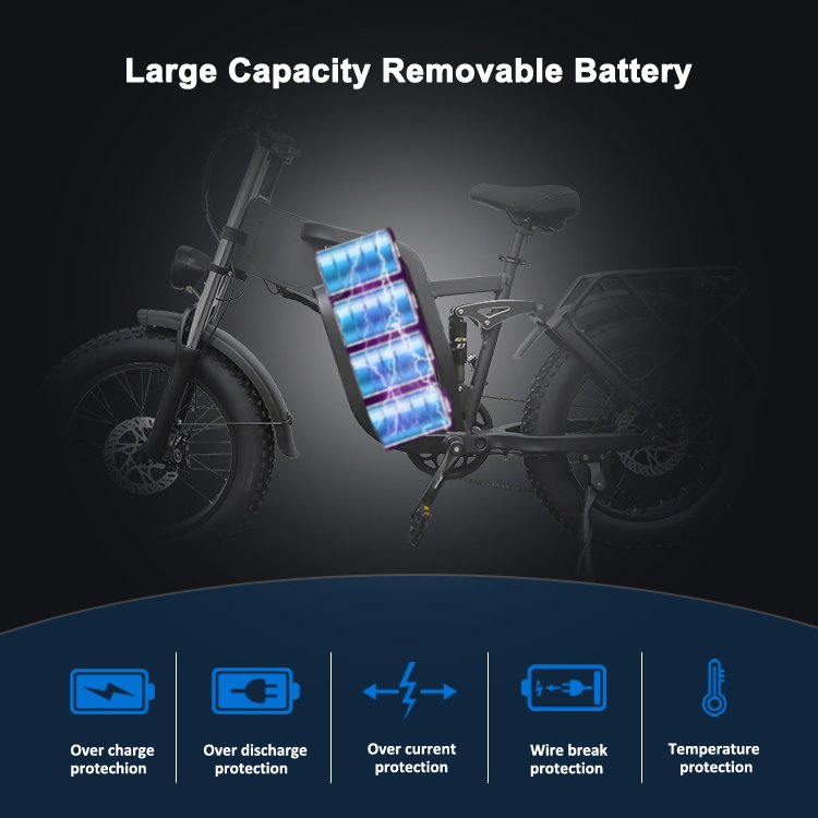 20 inch Fat Tire 2000W 48V 25AH Lithium Battery Aluminum Alloy 7 Speed Adult MTB eBike E Electric Mountain Bike Full Suspension