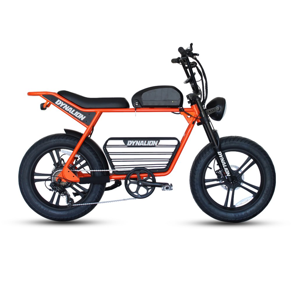 Electric City Bike Bicycle 48V Electric E Bike 1000W