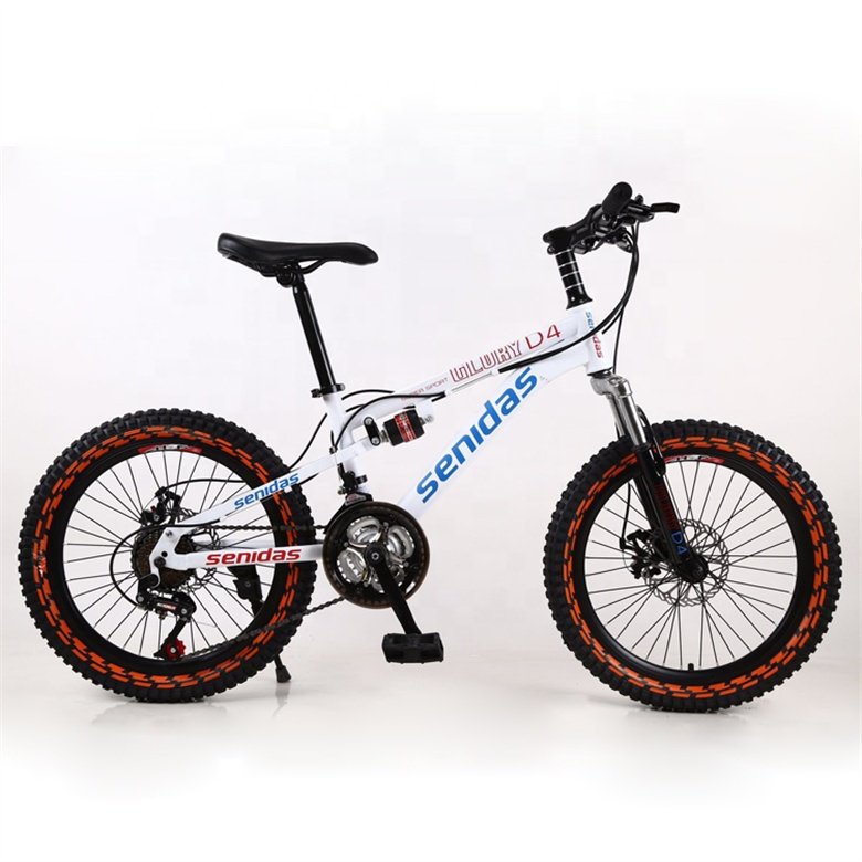 The most popular style cool kids mountain bicicle 20 inch colorful design tyre double suspensions boy mountain bike