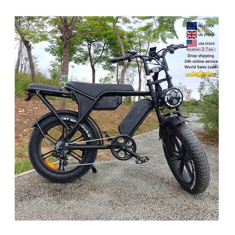 250W Double battery ebike off road mountain electric bicycle City Fatbike electric bike OUXI V8 Max