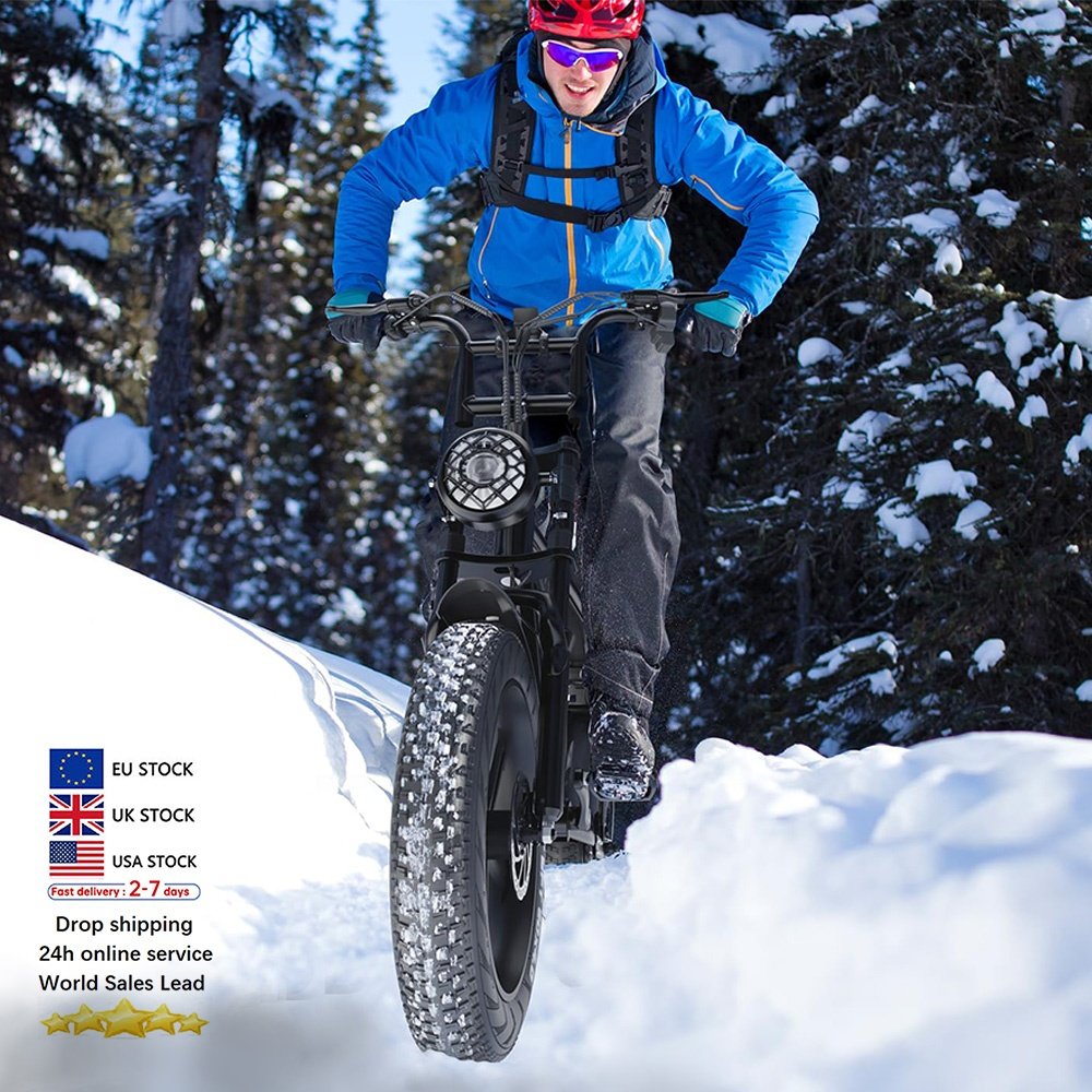 250W Double battery ebike off road mountain electric bicycle City Fatbike electric bike OUXI V8 Max