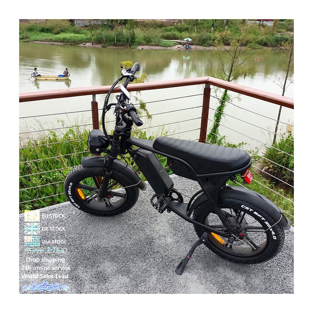 250W Double battery ebike off road mountain electric bicycle City Fatbike electric bike OUXI V8 Max