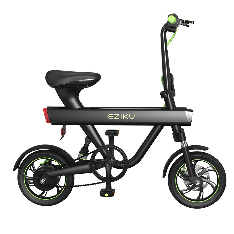 World Wide Giant India Electric Mini Bike Smart Electronic Adult Folding E-Bike with Magnesium Alloy Electric Moped Scooter