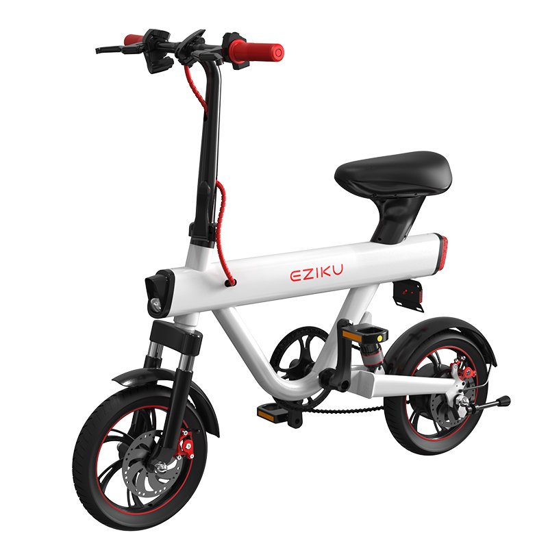 World Wide Giant India Electric Mini Bike Smart Electronic Adult Folding E-Bike with Magnesium Alloy Electric Moped Scooter