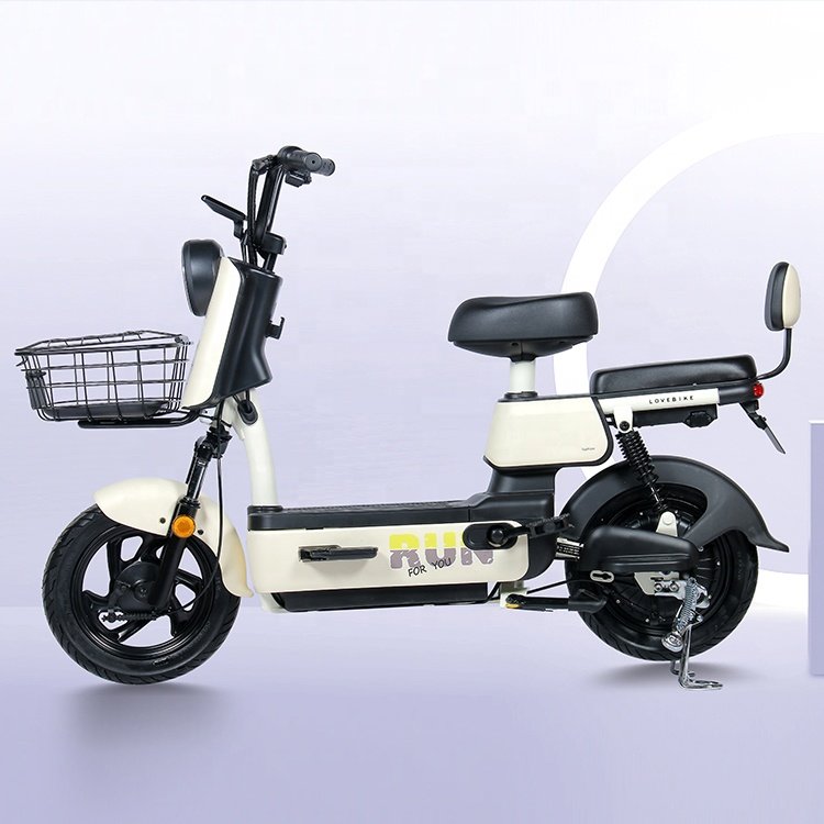 Fu Long electric Vehicle 2024 Popular Electric Bicycle Electric bike Electric Scooters electric Motorcycle electric city bike