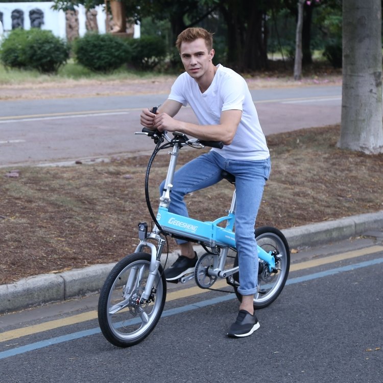 Foldable battery powered cheap adult battery power scooter Mini Size Folding Electric Bicycle 300W Electric City Bike