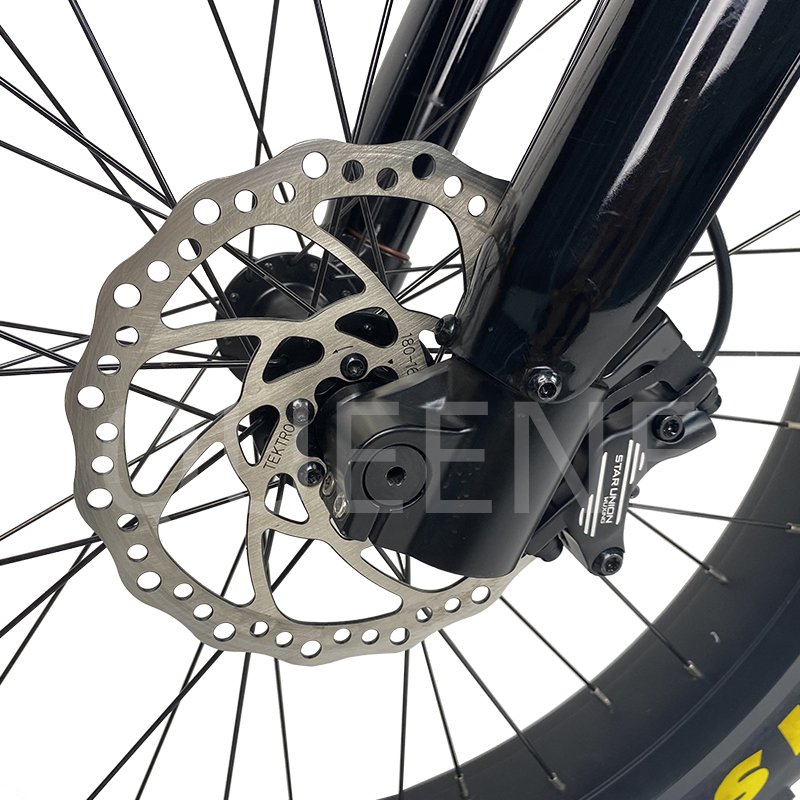 QUEENE 750W 1000W Long-distance Central Motor Carbon Fiber Step-Thru Bicycle Ebike Electric Bikes 2024