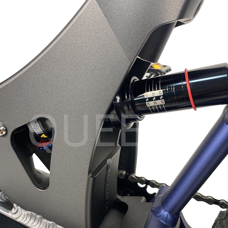 QUEENE 750W 1000W Long-distance Central Motor Carbon Fiber Step-Thru Bicycle Ebike Electric Bikes 2024