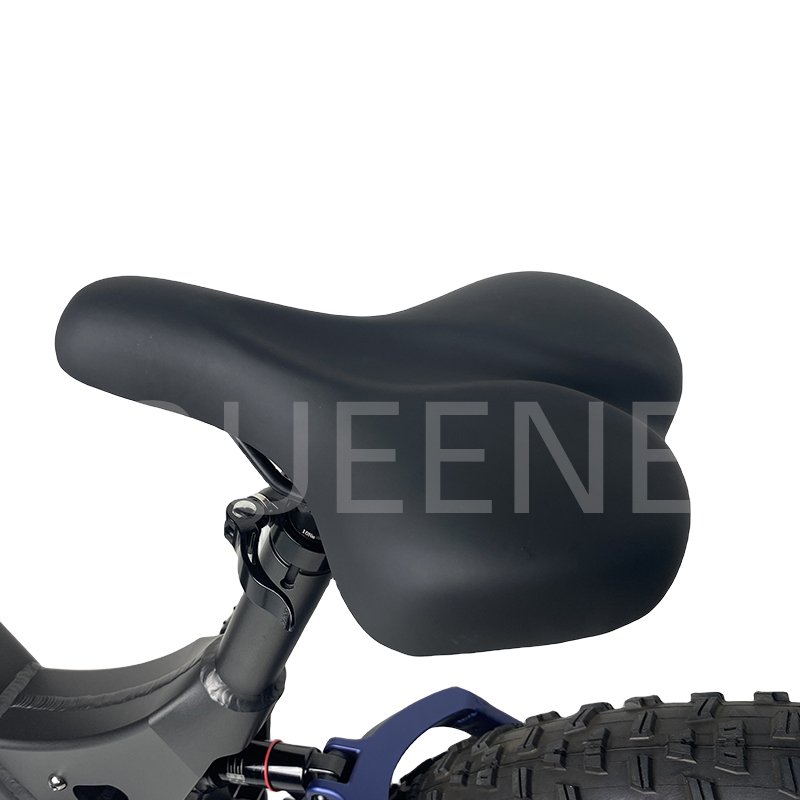 QUEENE 750W 1000W Long-distance Central Motor Carbon Fiber Step-Thru Bicycle Ebike Electric Bikes 2024