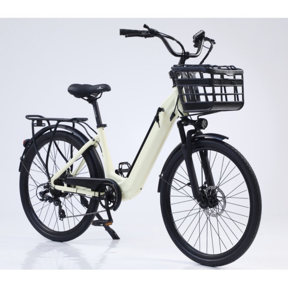 Hot selling Hidoes 20 inch mountain bike HD B10 Single Speed Electric City Bike Emtb fat Hybrid bicycle for man