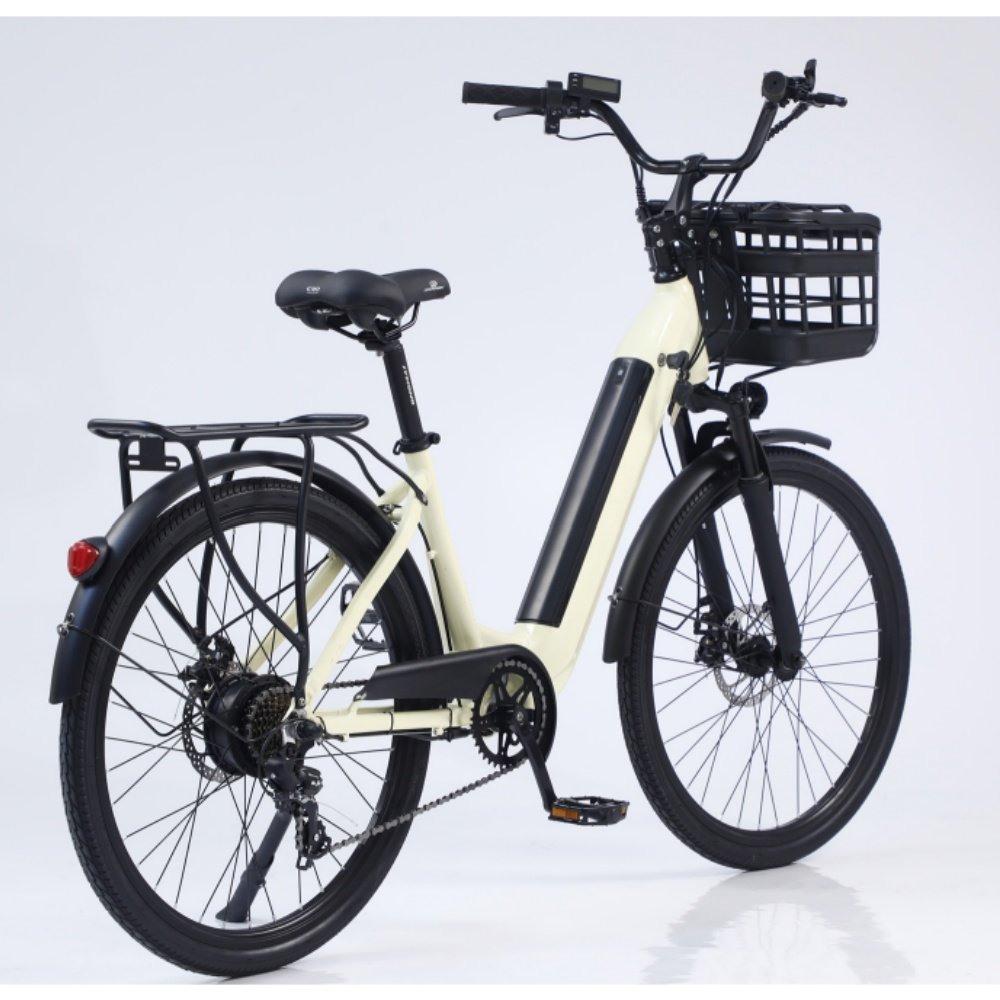 Hot selling Hidoes 20 inch mountain bike HD B10 Single Speed Electric City Bike Emtb fat Hybrid bicycle for man