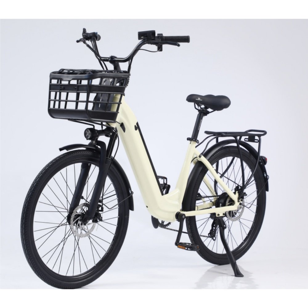 Hot selling Hidoes 20 inch mountain bike HD B10 Single Speed Electric City Bike Emtb fat Hybrid bicycle for man
