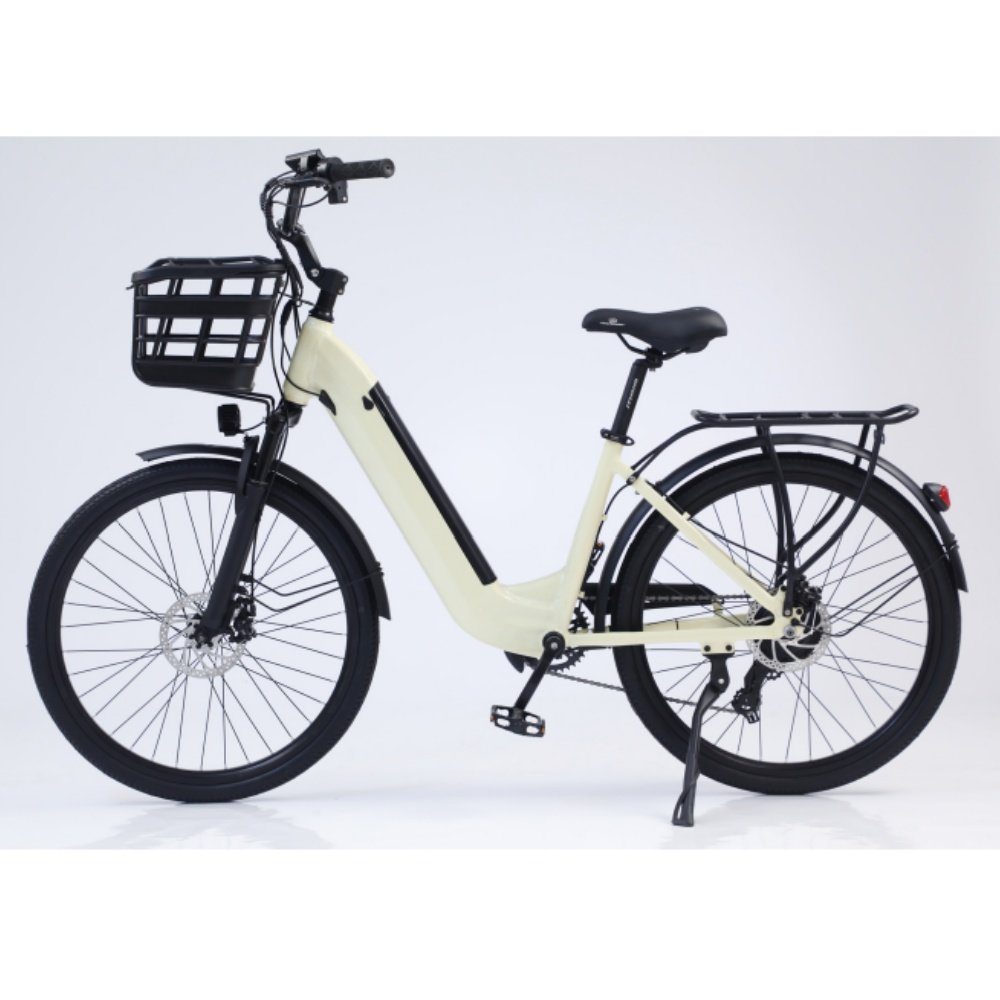 Hot selling Hidoes 20 inch mountain bike HD B10 Single Speed Electric City Bike Emtb fat Hybrid bicycle for man