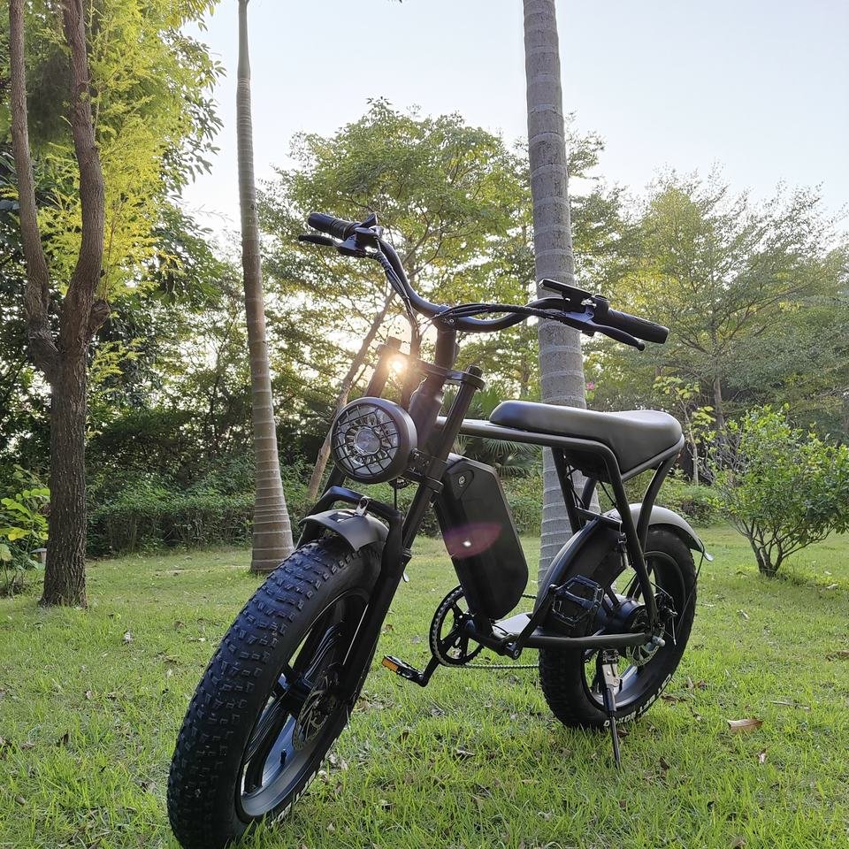 OUXI V8 Pro Max 24inch Fatbike EU Warehouse 250w 500w 1000w Electric Fat Bike Netherlands E-Bike EBike Electric Mountain Bike