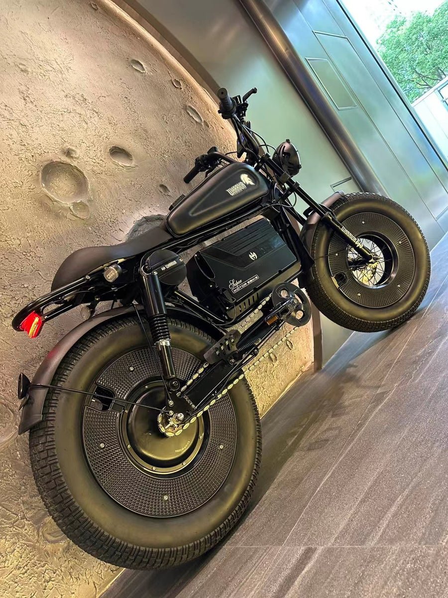 Best Factory Electric Bike 20 Inch 48V 1500W Motor Electric Dirt Bike Mountain Bike Adult