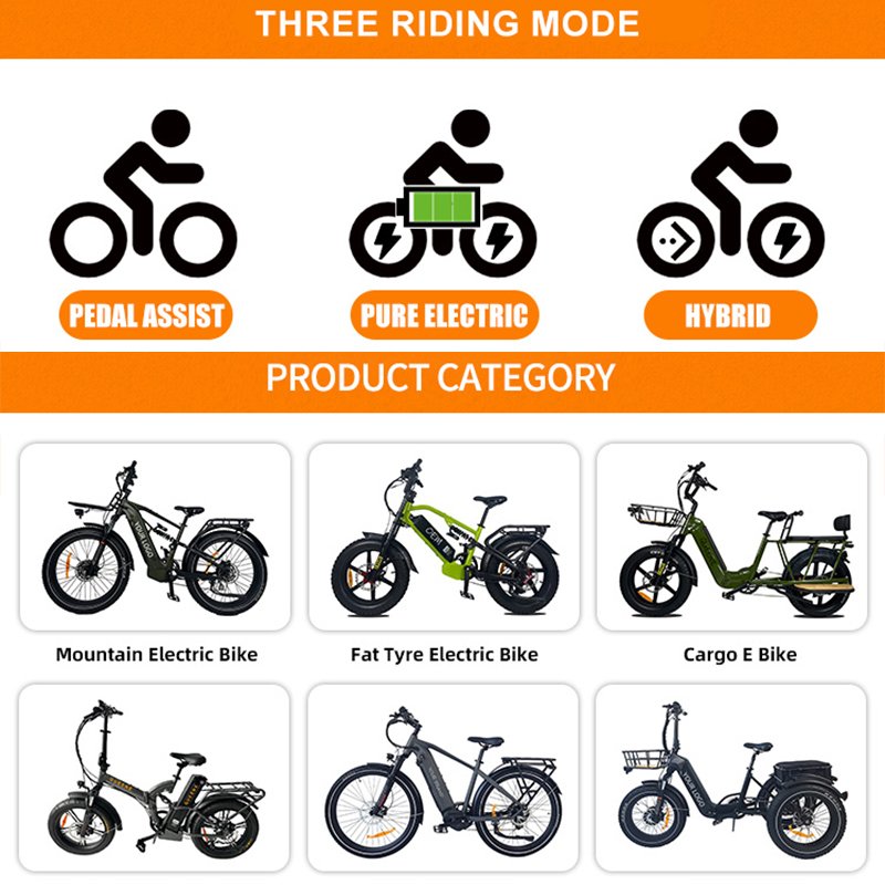 QUEENE/City Bike 750W Rear Motor hidden battery Fat Tire electric bike low Step Through Beach Cruiser ebike