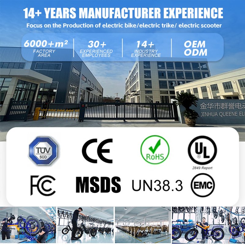 QUEENE/City Bike 750W Rear Motor hidden battery Fat Tire electric bike low Step Through Beach Cruiser ebike