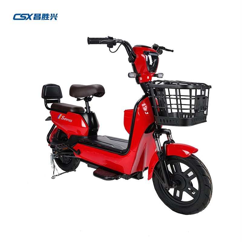 China Factory Supply Exquisite Durable Cargo Electric Bike Used Ebike