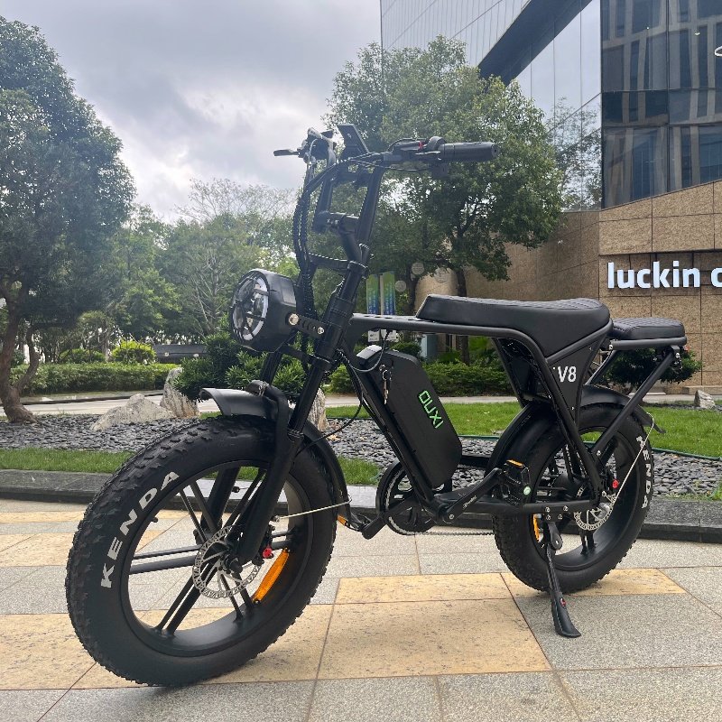 Electric fat tire bike hydraulic brake fat tire e-bike ouxi v8 in EU warehouse fat tire electric city bike 250w 750w fatbike