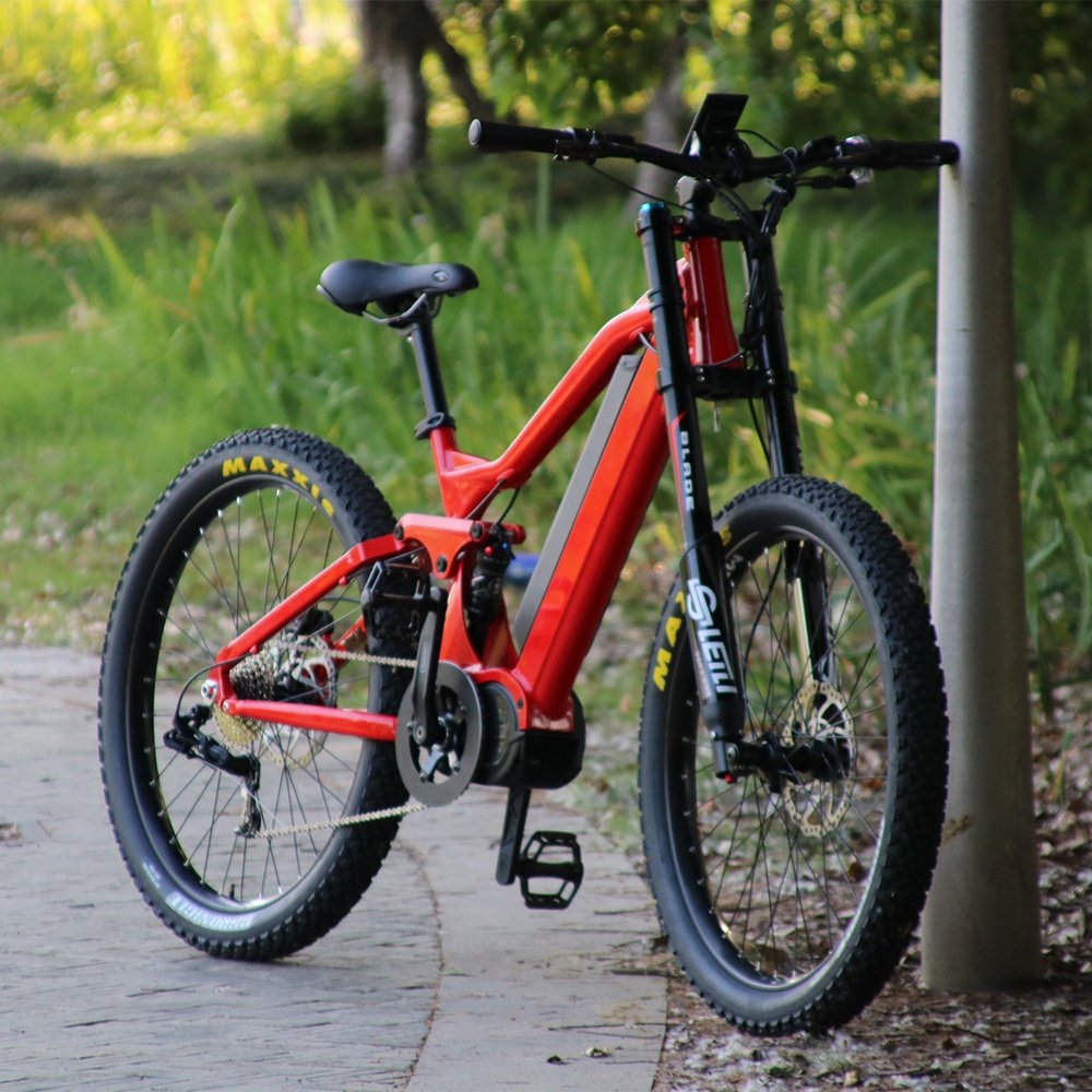 Mofun middle drive mtb ebike e bike 29 inch electric mountain bike bicycle for Wholesales