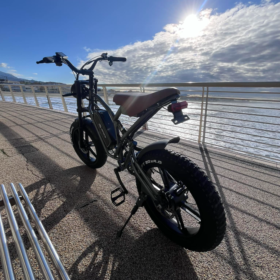750W Motor Electric City E-Bike 20-inch Off-Road Fat Tires Bike Aluminum Alloy Frame Mountain Bicycle JANSNO X50