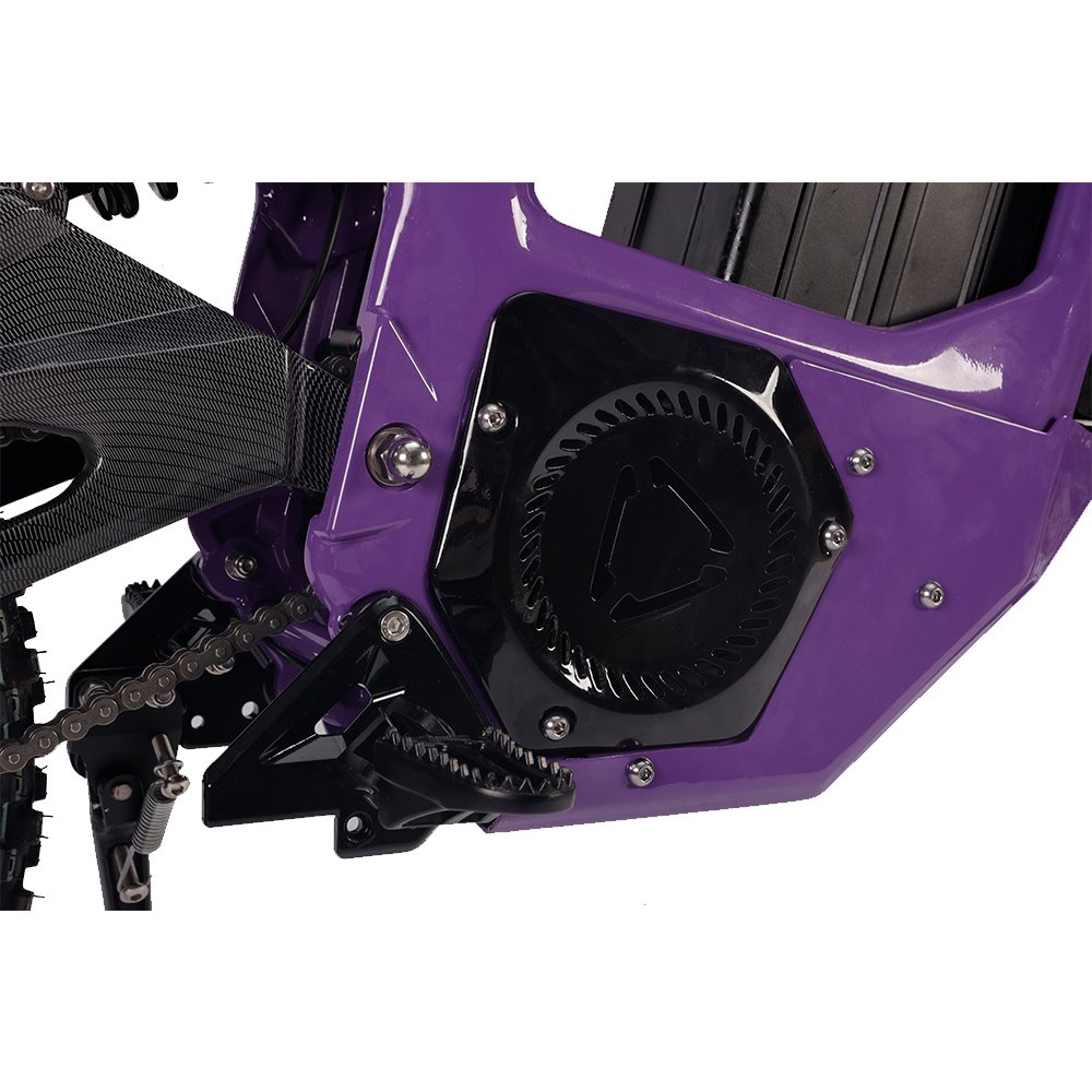 Off Road Enduro Hub Motor Cross Chopper Cruiser Touring Racing Electric Motorcycle