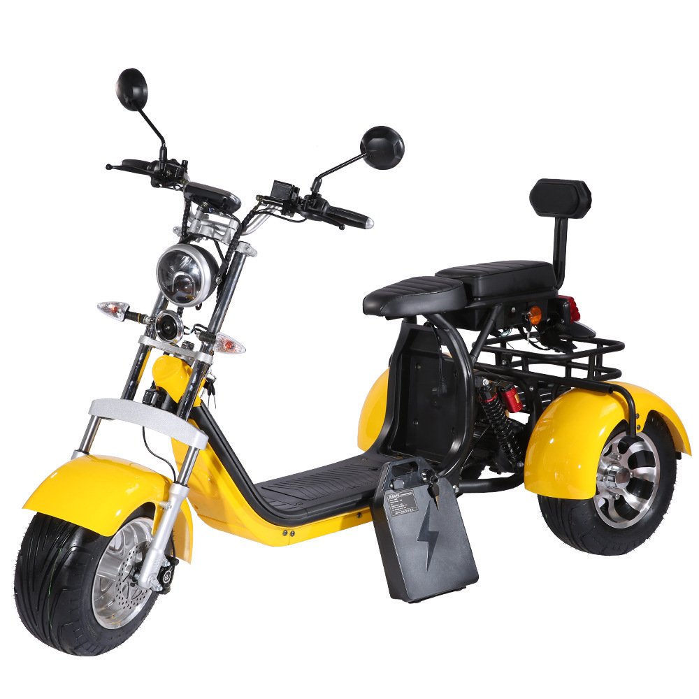 Three-Wheeled Electric Motorcycle Lithium Battery Powered Unique Three-Wheeled Design
