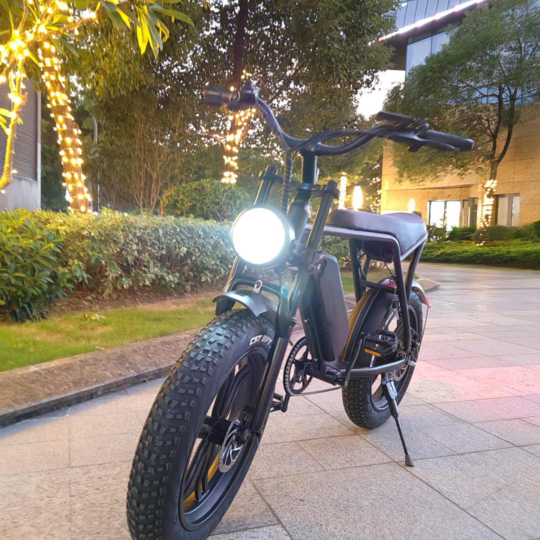 2024 Newest 20"fat tire bike 500W 1000w velo electric mountain bicycle e dirt bike velo electrique fatbike