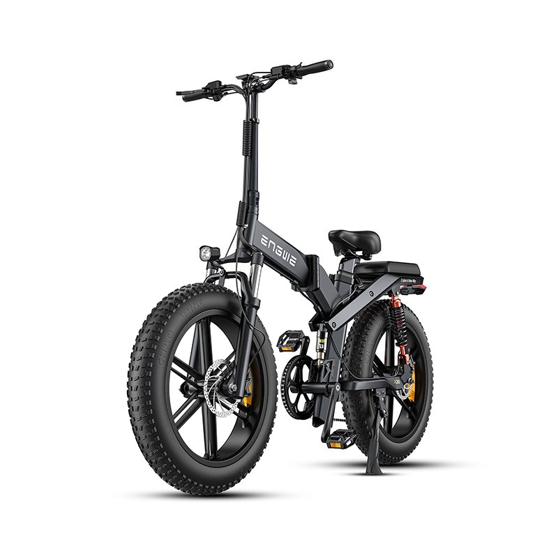X20-dual Battery Version 48V22.2Ah Electric 48V22.2Ah 750W 24*4.0inch fat tires off-road electric Bike hydraulic oil 50KM/H