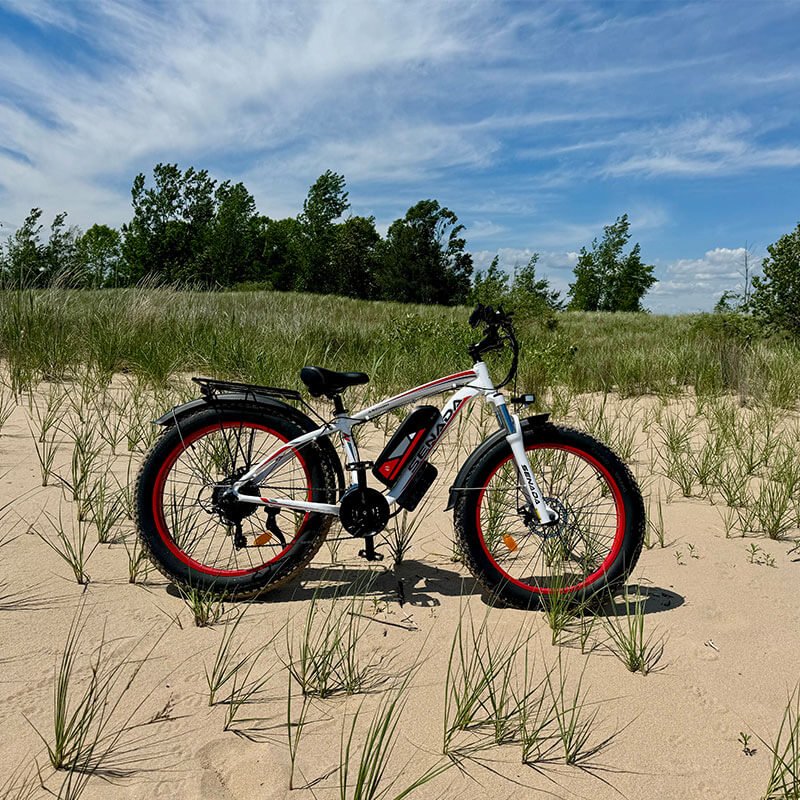 USA Wholesale 26x 4inch FatTire 21-speed 1000W 20Ah Road E-bike Electric Mountain Bike
